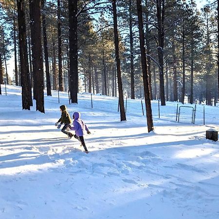 Close To Williams, Flagstaff, Grand Canyon And Sedona Eksteriør bilde