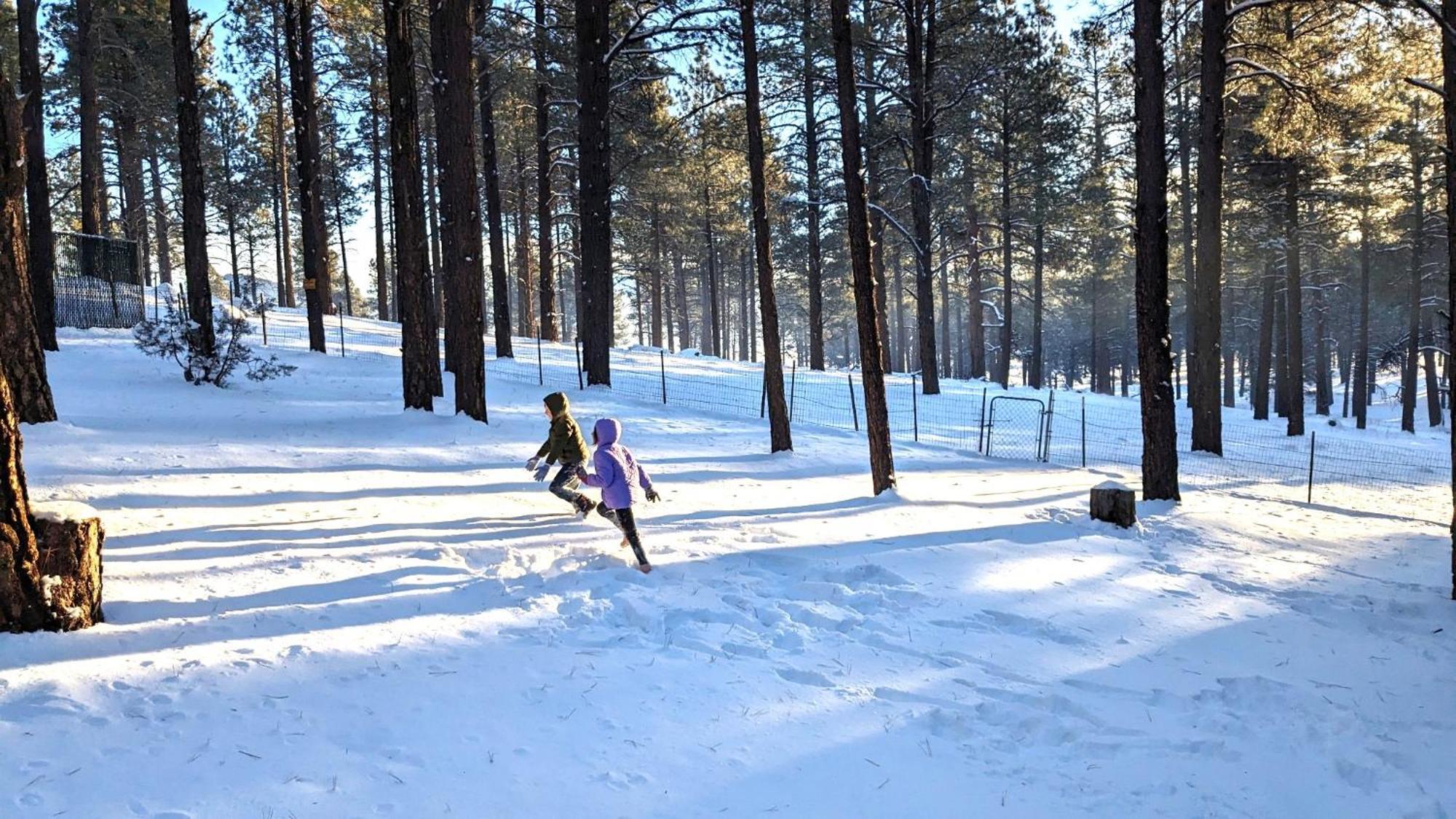Close To Williams, Flagstaff, Grand Canyon And Sedona Eksteriør bilde