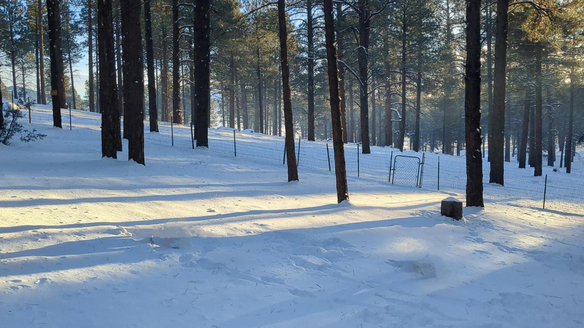 Close To Williams, Flagstaff, Grand Canyon And Sedona Eksteriør bilde
