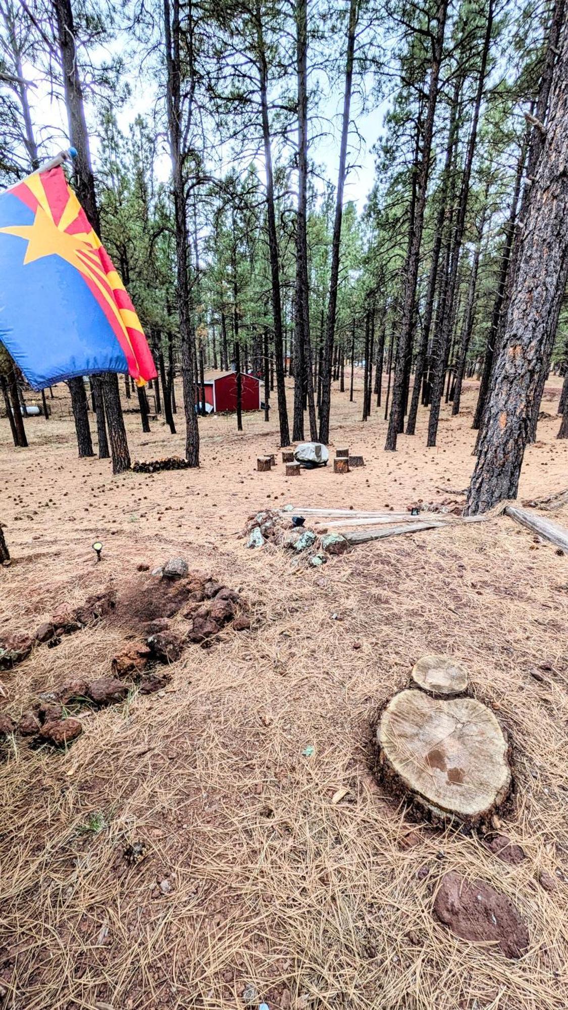 Close To Williams, Flagstaff, Grand Canyon And Sedona Eksteriør bilde