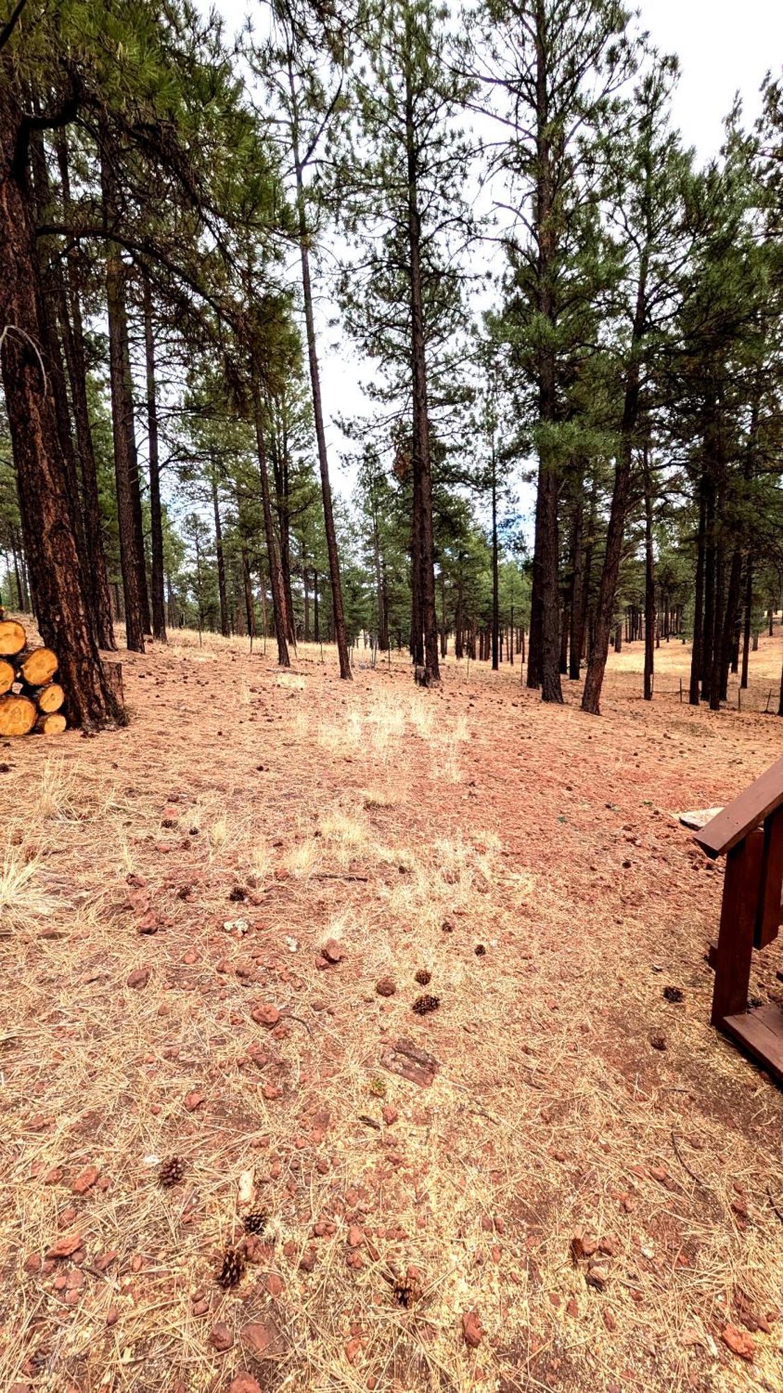 Close To Williams, Flagstaff, Grand Canyon And Sedona Eksteriør bilde